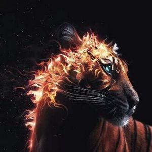 Meet your Posher, Quan